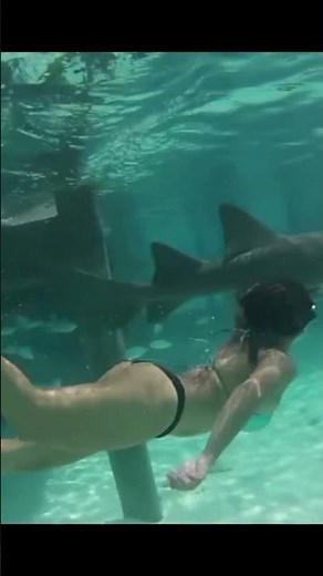 A beautiful woman in bikini swimming underwater in a crystal clear sea.
