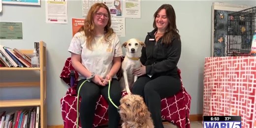 PAWS Adoption Center: Meet Berkley & Charlie!