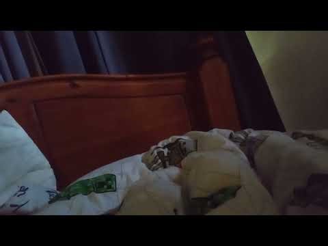 Explaining scp-3000 the infinite eel