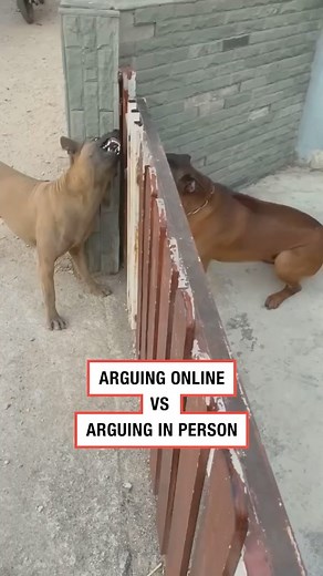 Argue online vs argue in person | The Idea King