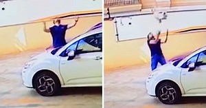 Random Passerby Saves Dog Falling From 9th Floor Balcony