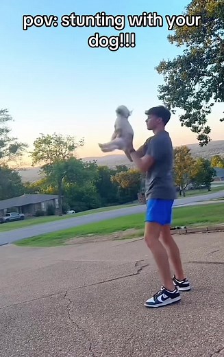 Cheerleading with Dogs: The Ultimate Pup Performance