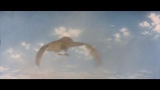 68K views · 4K reactions | Godzilla likes turkey only one way... Well done! 旅 Happy #Thanksgiving! | Toho Godzilla | Facebook