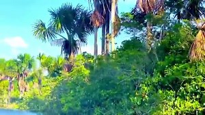 6.9K views · 221 reactions | Heading up the kumuni creek to Arrowpoint Nature Resort.  Sarah Sooklall #guyana #travel #visitguyana #southamerica #tourism | Visit Guyana | Facebook