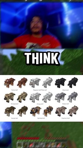 Minecraft’s Wolves Update Is Bigger Than You Think…