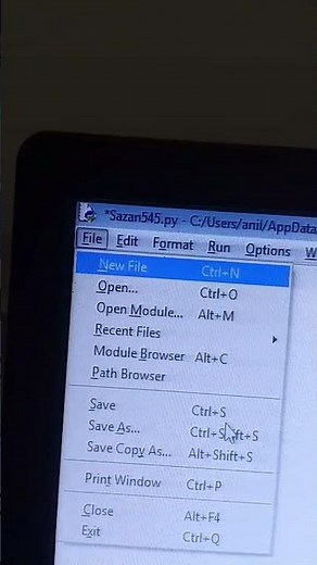 python coding (extend)