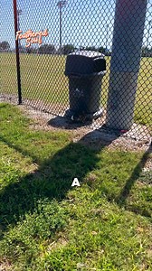 Woman Helps Free Bunny Trapped in Fence A helpless bunny was stuck with no way out—until a woman spotted it and refused to walk away. With rescuers’ help, the little rabbit finally broke free. Compassion saves lives. 🐰❤️ #BunnyRescue #KindnessMatters #ForYou #FYP #AnimalHelp | Featheredsoul
