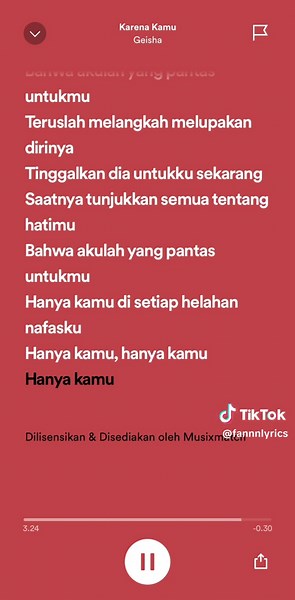 Karena Kamu - Geisha #spotify #music #playlist #fulllyrics #foryou #fypシ