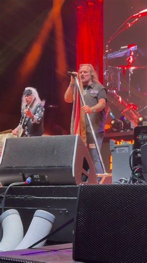 Lynyrd Skynyrd - Saturday Night Special #live #lynyrdskynyrd #concert #classicrock