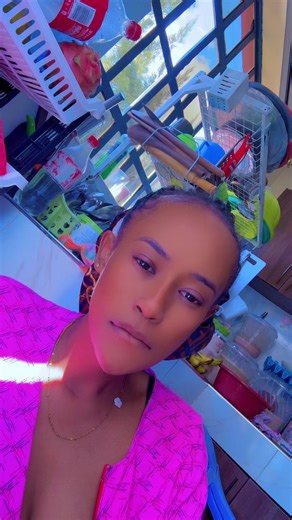 Where to Find Tortoises: A Guide