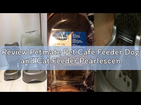 Review Petmate Pet Cafe Feeder Dog and Cat Feeder Pearlescent Colors 3 Sizes, Made in USA