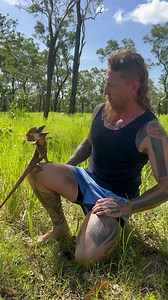 207K views · 38K reactions | Frill Neck Lizard - Part 1 With loads of character and the only hairstyle better than a mullet, they’re one of the most iconic reptiles of the NT.. and they’ll climb just about anything, myself included. | Wildman Adventures | Facebook