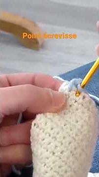 une bordure à connaître : le point ecrevisse #rapideetfacile #apprendrelecrochet #crochet