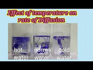 Effect of temperature on Diffusion|Why ink diffuses rapidly in hot water as compared to normal water
