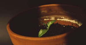 45 Best Songs About New Beginnings & Starting Over