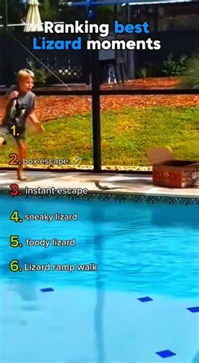 ranking funniest lizard moments 🦎🤣