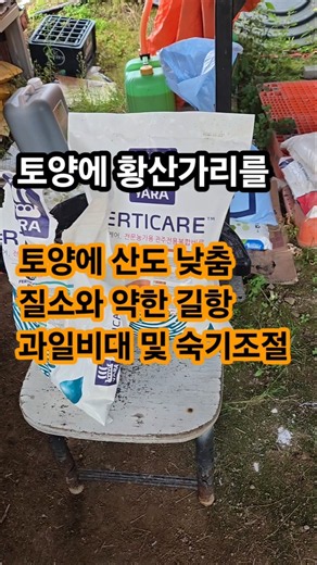 🍎 황산가리 관주, 사과 맛·비대·착색에 도움!