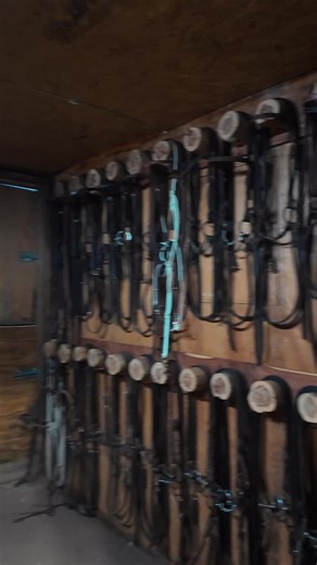 Exploring My Favorite Tack Room and Bit Wall