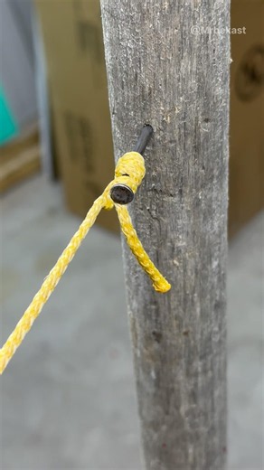 🔥 The Strongest Knot Trick for Securing Anything to a Tree!