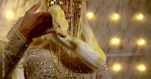 a woman with a snake is dressed in a Golden bodysuit with rhinestones. a woman's face half hidden by a gold ornament. the snake wrapped itself around the woman's body. Golden lights in the background
