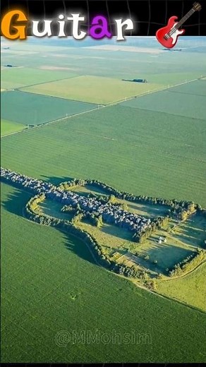 A Man Planted a Guitar-Shaped Forest for His Late Wife | Visible From Space | Mohsim