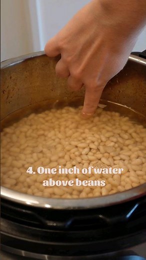 How To Prep/Cook Dry Beans in the Instant Pot Pressure Cooker
