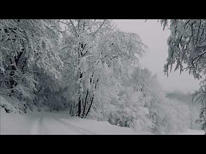 ❄️ 1 Hour of Peaceful Snowfall | Relaxing Winter Ambience