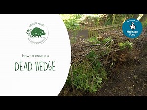 How to Create a Dead Hedge | Green your Neighbourhood