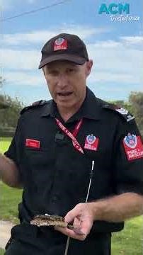 Good boy Garvey!: how firefighters train dogs to sniff out suspicious fires