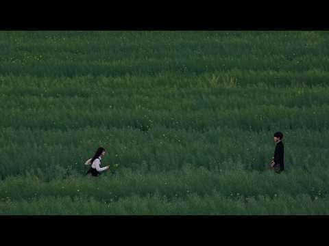 pretty songs like riptide [indie summer playlist pt.2]