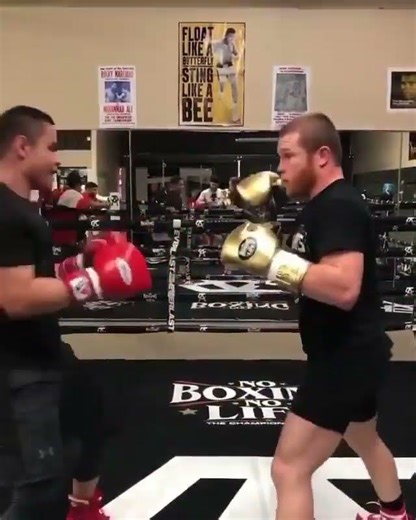 Let's Go Champ! Check out Canelo alternating in this "right uppercut, left head hook" Drill🤯