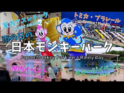 Japan Monkey Park on a rainy day! Enjoy the events and indoor play equipment!
