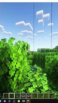 HOW TO USE OTHER USEFUL RINGS from Enigmatic Legacy in MINECRAFT