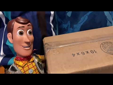 Woody’s New Voice-Box!