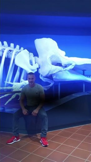 #اكسبلور #دويتو #duet #الرحمن #تصميمي #لايك #elmulquranعلم #راحة_نفسية #المصحف #حالات_واتس #تيك_توك