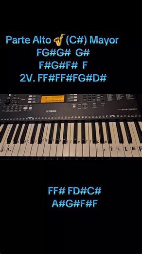 Jacobo Reynoso - Muchos Problemas Parte Alto 🎷