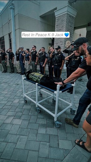 56K views · 12K reactions | Rest Easy K-9 Officer Jack ️ " In...