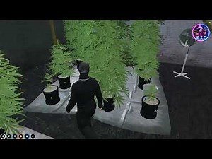 FiveM Weed Farm (MLO) FREE | KSC
