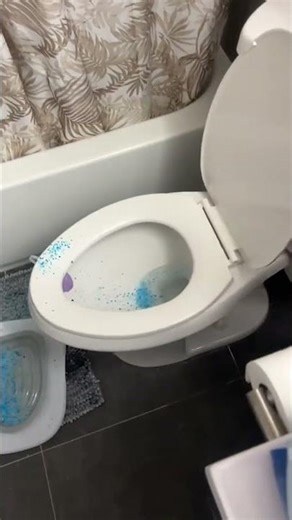 Kitty Potty Training Fail!