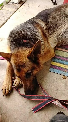 Amber Blaize on TikTok