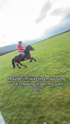 Selling My Pony: Heartfelt Farewell