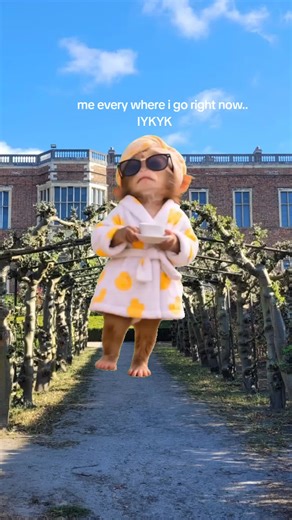 Bridgerton Memes That Get Stuck in Your Head