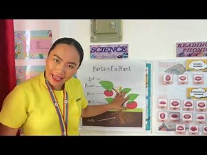 Kinder 1 Lessons Review