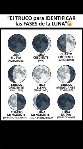 "El TRUCO para IDENTIFICAR las FASES de la LUNA" 😮