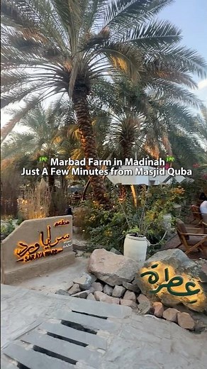 Discover Marbad Farm in Madinah #madina #madinah #welcomesaudi