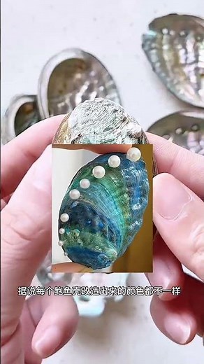 Master the Art of DIY Abalone Shells - Step-by-Step Guide