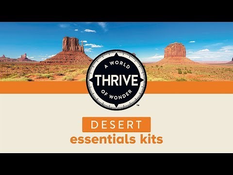 Thrive Desert Terrarium Kit for Bearded Dragons & more | PetSmart