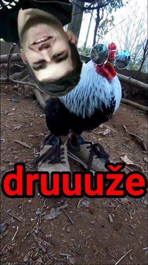 koka je chicken #balkan #chicken #koka #bosna #srbija