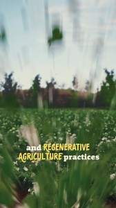 McCain is supporting farmers and regenerative agriculture practices | McCain Foods USA