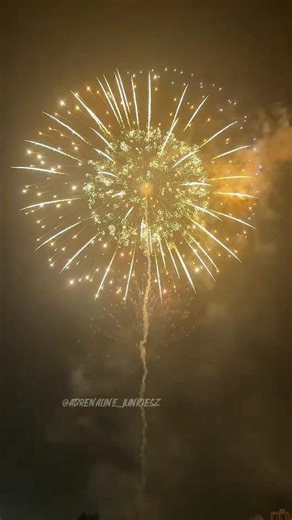 8” inch 200mm display Shell Hydrangea effect 🔥 #pyro #fireworks